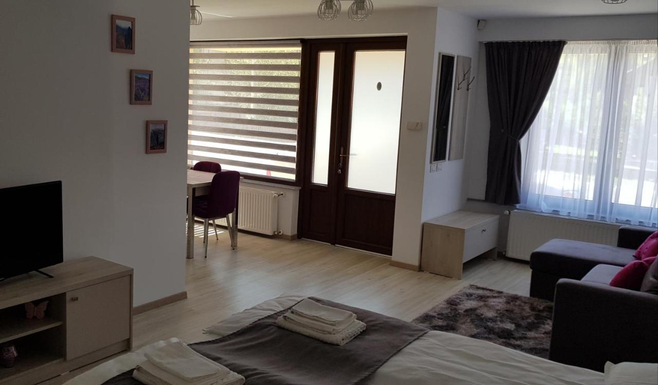 Casa Montis Hotell Borşa Exteriör bild